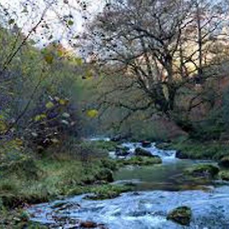Apartamento Jardines Del Sella Cangas de Onís Exterior foto